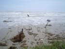 Hurricane Ike 143.jpg