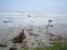 Hurricane Ike 143.webp