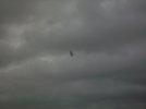SANY0735.jpg