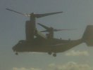 n12001436_31700745_7045.jpg