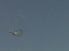 n12001436_31700755_3271.jpg