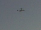 n12001436_31700753_4453.jpg