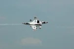 t birds passing.webp