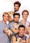 puppy boy band.jpg