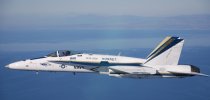 Hornet30_SM.JPG