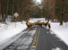 PennsylvaniaDec08 011_800x600.webp