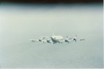 P-3 Minex.jpg
