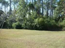 View from back.webp
