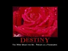 Destiny.webp