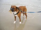 DSCF1350.webp