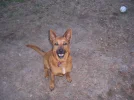100_1468.webp