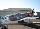 PDX Yolo 032.webp