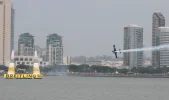 RedBullSD_5.webp
