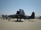 Fly0509 041.webp