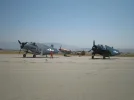 Fly0509 042.webp