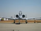 Fly0509 030.webp