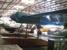 Fly0509 068.webp