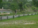 40.webp