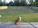 DSC03435.JPG
