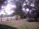 Backyard1.webp