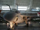 SDC10310.webp