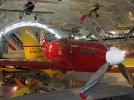 SDC10345.webp