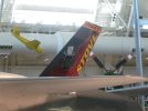 SDC10308.jpg
