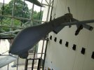 4thofJuly09 036_800x600.jpg