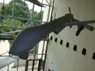 4thofJuly09 036_800x600.webp