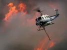 HorseFire_02.webp