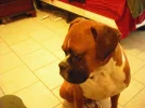 DSCF0061.webp