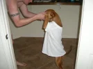 Boomer 002.webp Boomer 002.webp