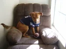 texas 015.webp texas 015.webp
