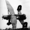lysander.webp