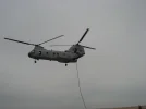DSC01326.webp