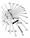 extzone-eng.jpg