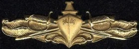 QUAL-USN-SurfaceWarfareOfficer_1.webp