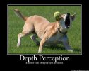 DepthPerception.jpg