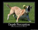 DepthPerception.webp