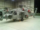 armed helo3..webp