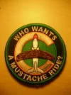 BoatPatchShoulder.webp