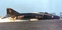 Blue Angle F-4..webp