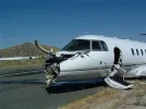 hawker1..webp hawker1..webp
