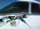 hawker2..webp hawker2..webp