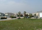 P141_bal-rear..jpg