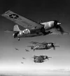 air_wildcat12..webp