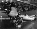 air_wildcat16..webp