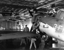 air_wildcat15..webp