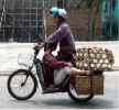 untitled..webp
