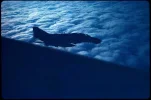 wm-F-4-night-March-1968.webp